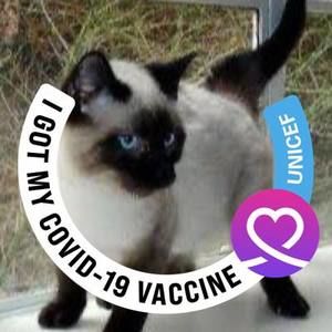 Meet your Posher, Virginia